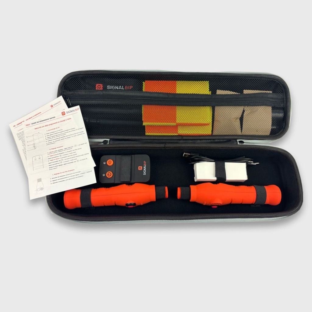 Bandeiras eletrônicas para arbitragem - Imagem 4